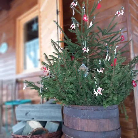 Dani Σπίτι διακοπών Vatra Dornei